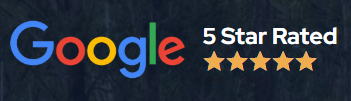 rating google